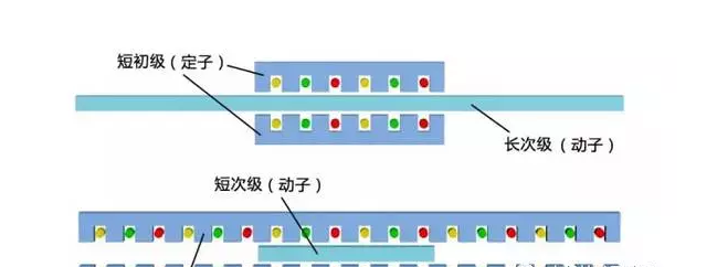 [直线电机的分类]有哪些类型的直线电机？其结构如何？